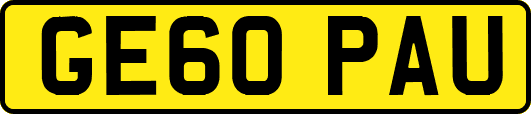 GE60PAU
