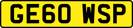 GE60WSP