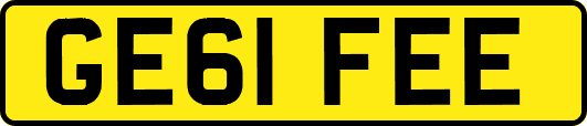 GE61FEE