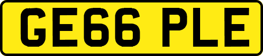 GE66PLE
