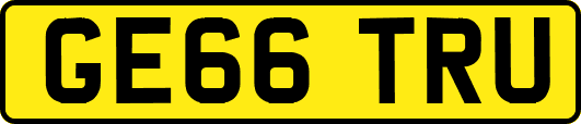 GE66TRU