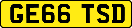 GE66TSD