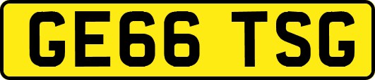 GE66TSG