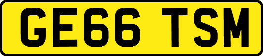 GE66TSM