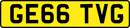 GE66TVG