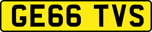 GE66TVS