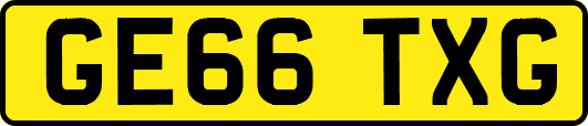GE66TXG