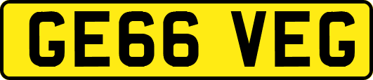 GE66VEG