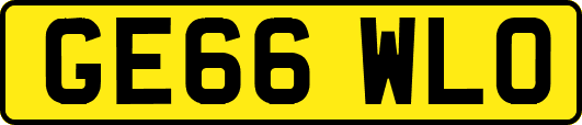 GE66WLO