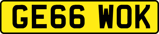 GE66WOK
