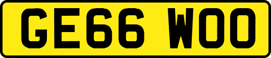 GE66WOO