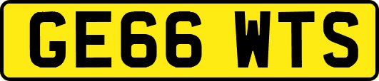GE66WTS