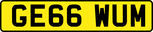 GE66WUM