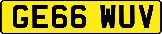 GE66WUV