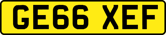 GE66XEF