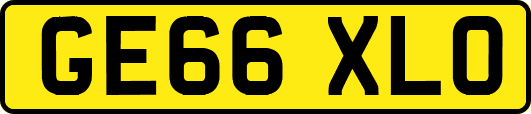 GE66XLO