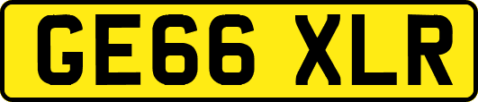 GE66XLR