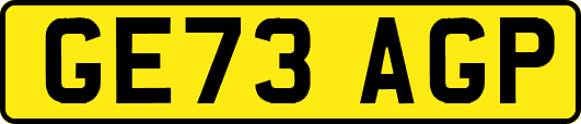 GE73AGP