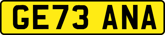 GE73ANA