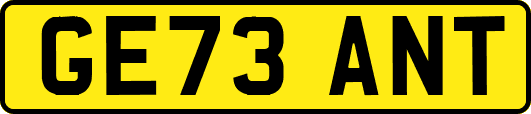 GE73ANT