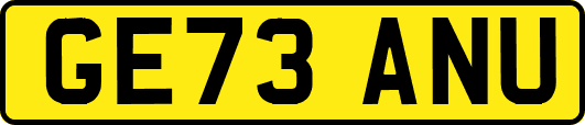 GE73ANU