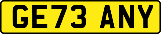 GE73ANY