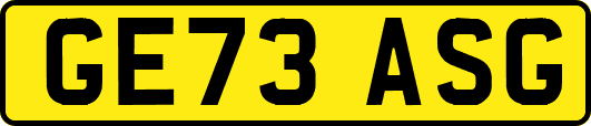 GE73ASG