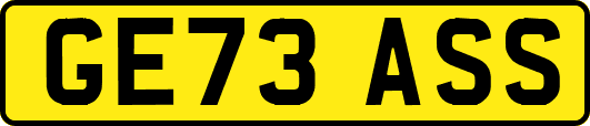 GE73ASS
