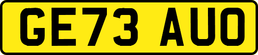 GE73AUO