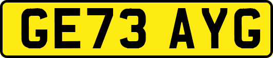 GE73AYG