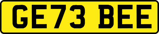 GE73BEE