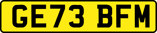 GE73BFM