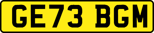 GE73BGM