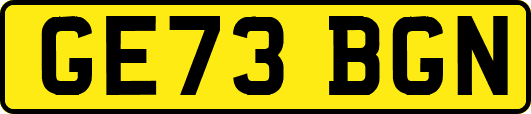 GE73BGN