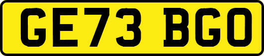 GE73BGO