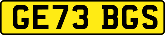 GE73BGS