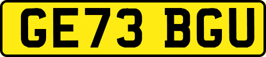 GE73BGU