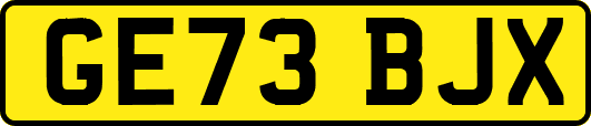 GE73BJX