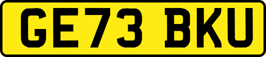 GE73BKU
