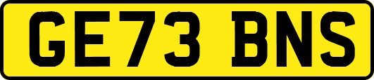 GE73BNS
