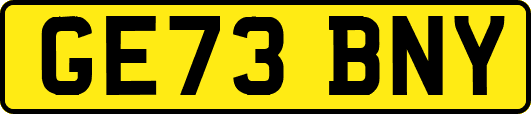 GE73BNY