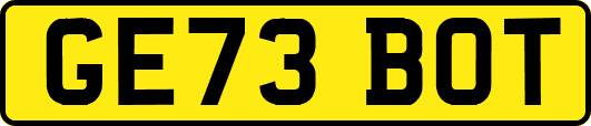 GE73BOT
