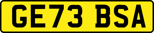 GE73BSA