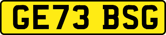 GE73BSG