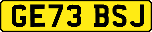 GE73BSJ