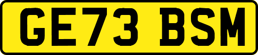 GE73BSM