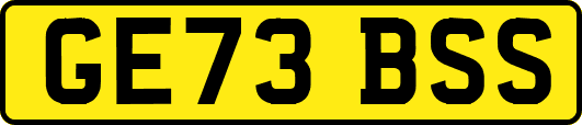 GE73BSS