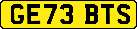GE73BTS