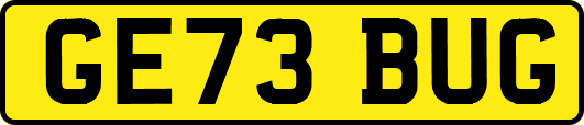 GE73BUG