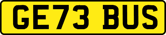 GE73BUS